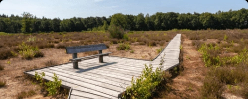 Vlonderpad Twickel